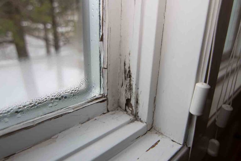 How to Avoid Moisture Damage in Winter | Expert Engineering Guide
